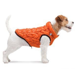Collar AiryVest UNI куртка для собак XS-28 - masterzoo.ua