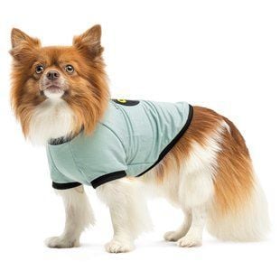 Pet Fashion Oscar футболка для собак XS - masterzoo.ua