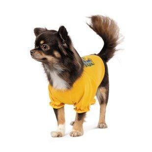 Футболка для собак Pet Fashion &laquo;Maria&raquo; S-2 - masterzoo.ua
