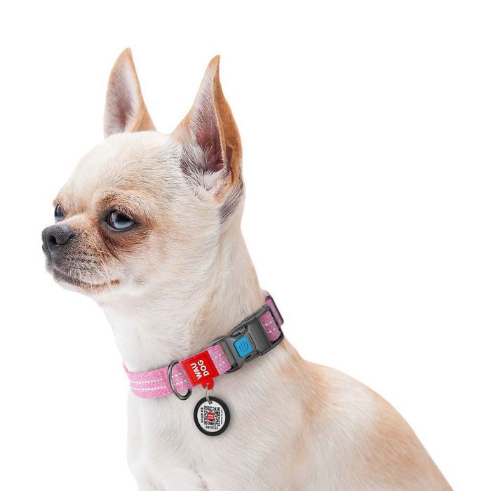 Ошейник светоотражающий Collar WAUDOG Re-cotton c QR-паспортом 31-49 см / 25 мм (розовый) - masterzoo.ua
