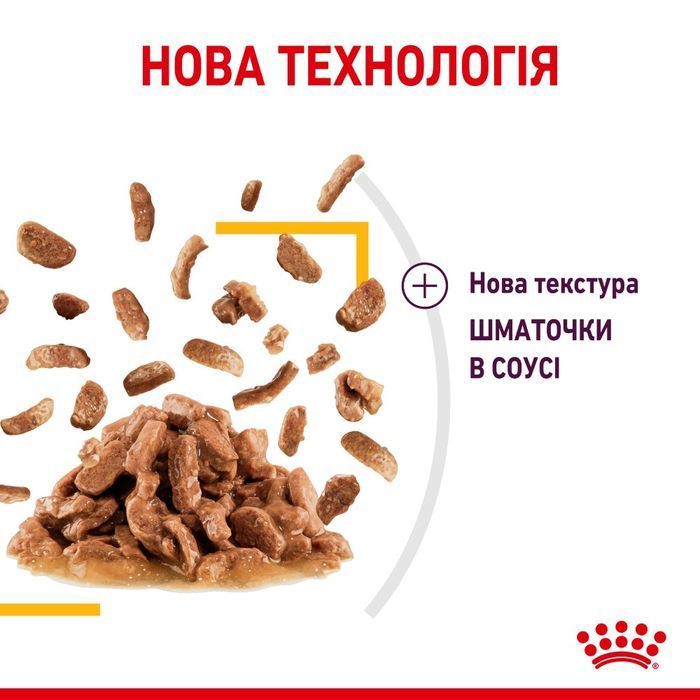 Влажный корм для кошек Royal Canin Sensory Taste Sauce 85 г - masterzoo.ua