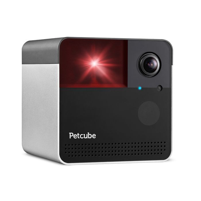 Petcube Play 2 інтерактивна HD-камера для відеоспостереження за птахами - masterzoo.ua