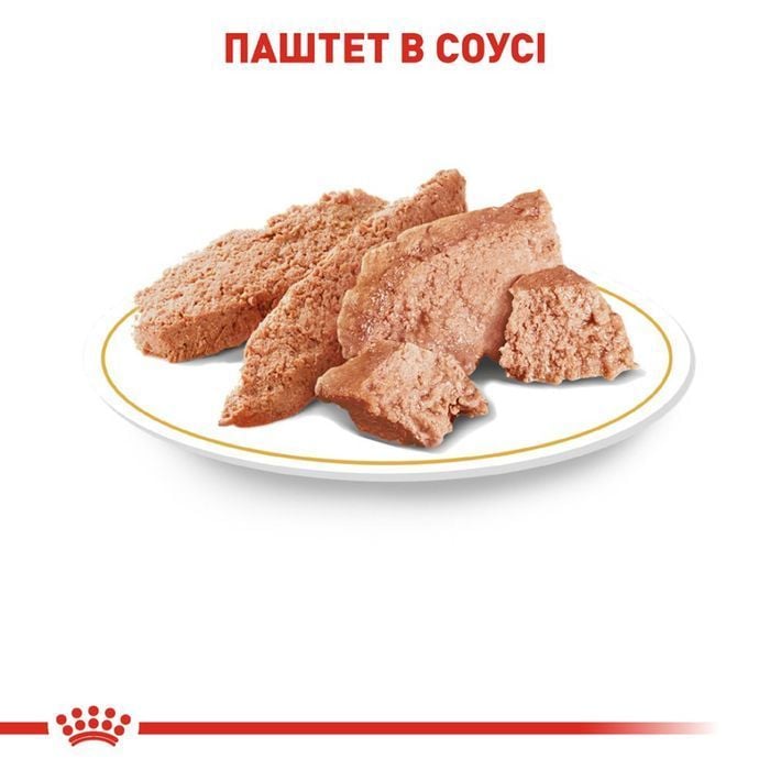 Вологий корм для собак Royal Canin Yorkshire Terrier Adult 85 г - masterzoo.ua