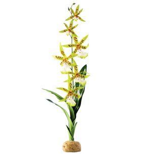 Exo Terra Spider Orchid декорация для террариума - masterzoo.ua