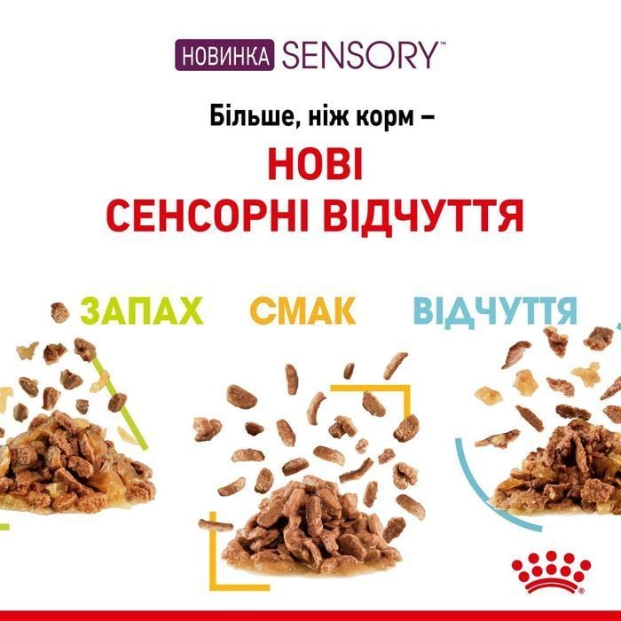 Влажный корм для кошек Royal Canin Sensory Taste Gelee 85 г - masterzoo.ua