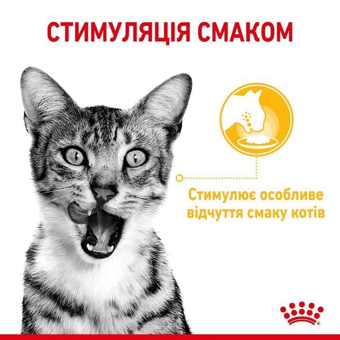 Влажный корм для кошек Royal Canin Sensory Taste Gelee 85 г - masterzoo.ua