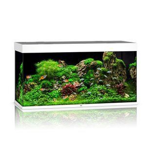 Аквариумный набор Juwel &laquo;Rio 350 LED&raquo; белый, прямой (350 л) - masterzoo.ua