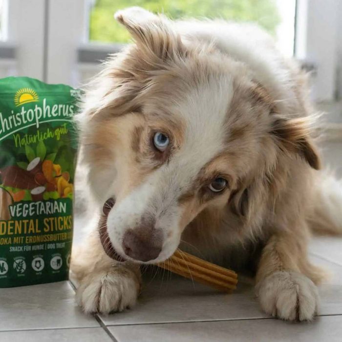 Ласощі для собак Christopherus Dental Stick Vegetarianу 250 г - тапіока та арахісове масло - masterzoo.ua