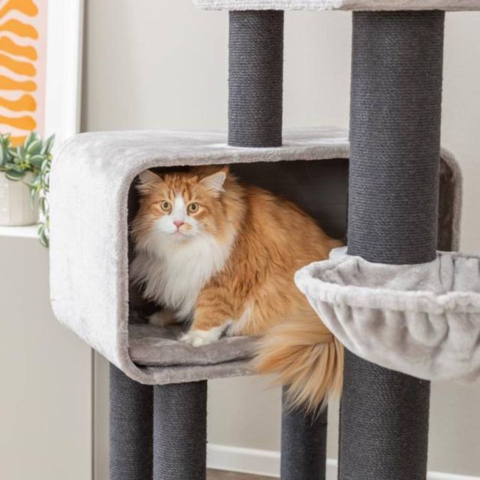 Будиночок-комплекс для котів Trixie Rafael XXL 156 см - сірий - masterzoo.ua