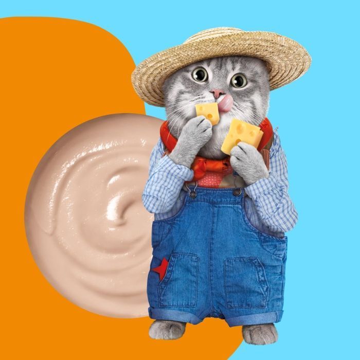 Ласощі для котів Moochie Fairy Puree 25 шт х 15 г - тунець та сир - masterzoo.ua