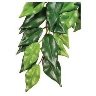 Декорация для террариума Exo Terra растение &laquo;Ficus&raquo; M - шёлк - masterzoo.ua