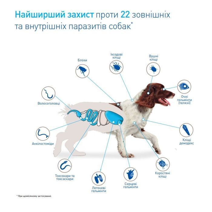Boehringer Ingelheim NexGard Spectra XL таблетки для собак от 30,1 до 60 кг 1 шт - masterzoo.ua