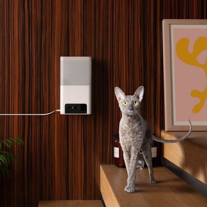 Petcube Bites 2 lite интерактивная камера-кормушка для кошек - белый - masterzoo.ua