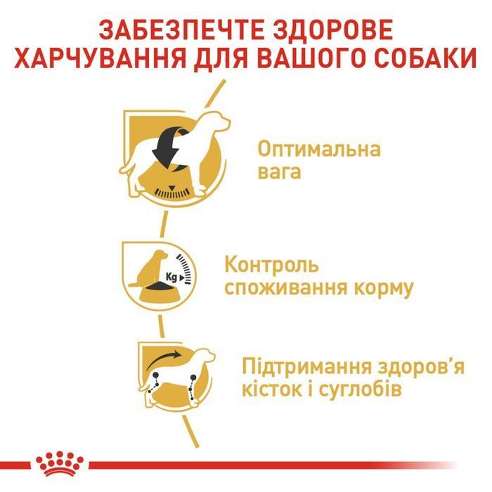 Сухий корм для собак Royal Canin Beagle Adult 3 кг - masterzoo.ua