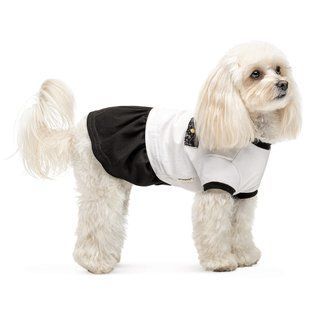 Pet Fashion Chanti платье для собак XS-2 - masterzoo.ua