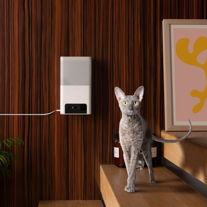 Petcube Bites 2 lite интерактивная камера-кормушка для кошек - белый - masterzoo.ua