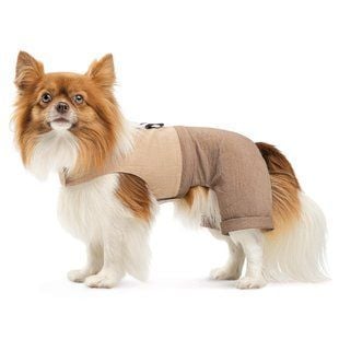 Pet Fashion Darcy шлея-костюм для собак XXS - masterzoo.ua