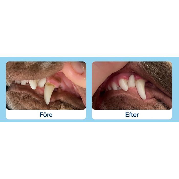 Лакомство для собак ProDen PlaqueOff Dental Bites 60 г - овощи - masterzoo.ua