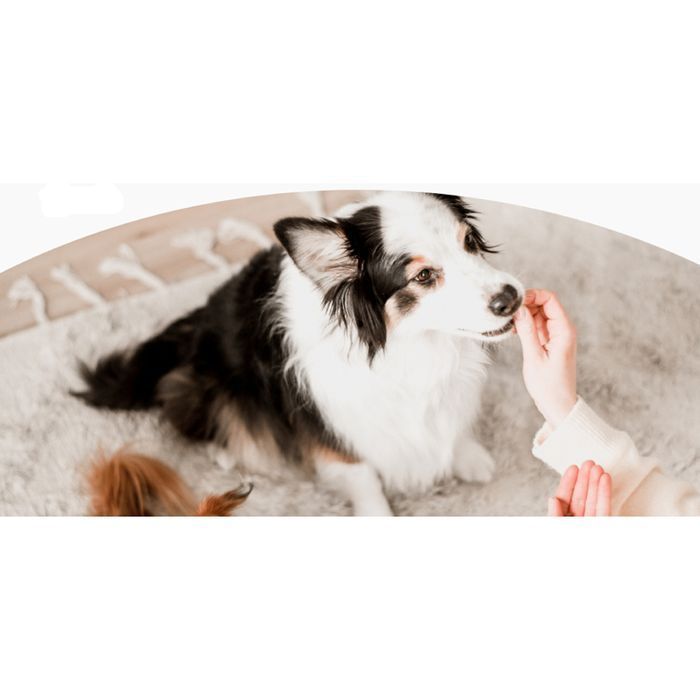 Лакомство для собак ProDen PlaqueOff Dental Bites 60 г - овощи - masterzoo.ua