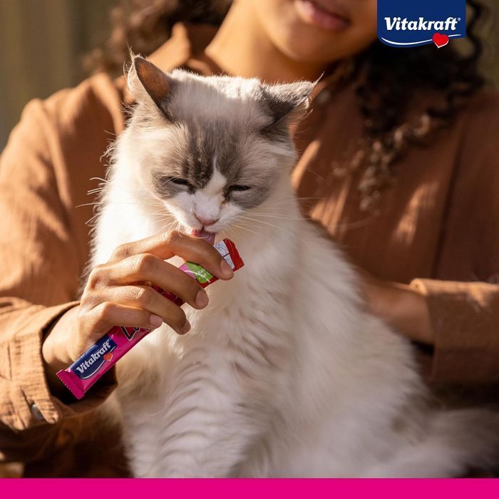 Лакомство для кошек Vitakraft Liquid Snack 15 г - говядина - masterzoo.ua