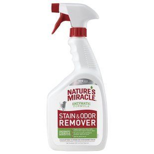 Спрей-знищувач Nature's Miracle &laquo;Stain & Odor Remover&raquo; для видалення плям і запахів від собак 709 мл - masterzoo.ua