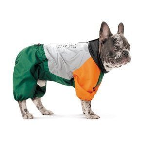Дощовик для собак Pet Fashion Marlie ХS такса - masterzoo.ua