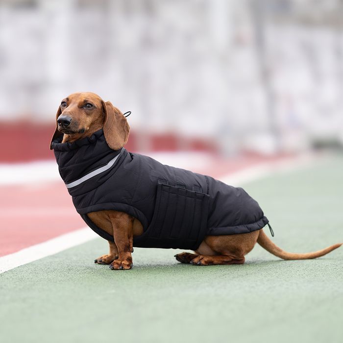Пуховик для собак Noble Pet Bobby Bravery M - masterzoo.ua