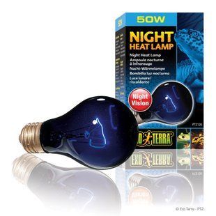 Лампа накаливания Exo Terra &laquo;Night Heat Lamp&raquo; имитирующая эффект лунного света 50 W, E27 (для обогрева) - masterzoo.ua