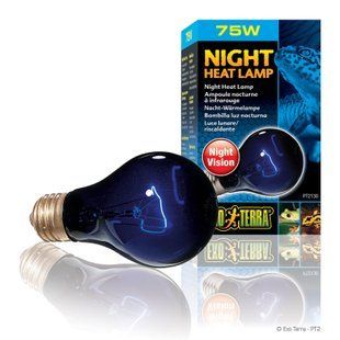 Лампа накаливания Exo Terra &laquo;Night Heat Lamp&raquo; имитирующая эффект лунного света 75 W, E27 (для обогрева) - masterzoo.ua