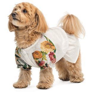 Pet Fashion Соломия рубашка для собак XS - masterzoo.ua