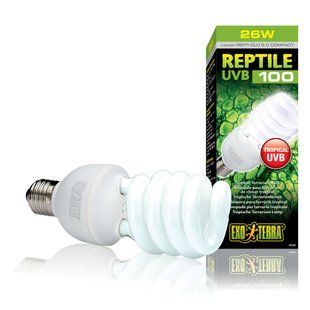 Компактная люминесцентная лампа Exo Terra &laquo;Reptile UVB 100&raquo; для облучения лучами УФ-В спектра 26 W, E27 (для облучения) - masterzoo.ua