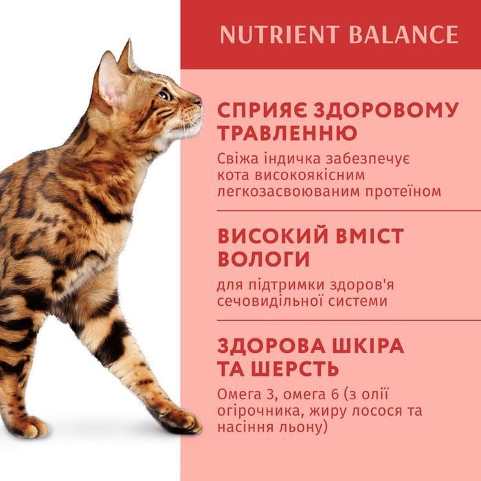 Влажный корм для кошек Optimeal 85 г - индейка и тыква - masterzoo.ua