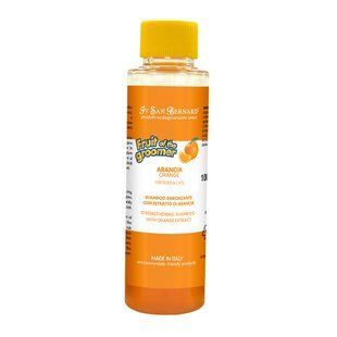 Шампунь для котів Iv San Bernard Fruit Of The Groomer 100 мл - екстракт апельсину - masterzoo.ua