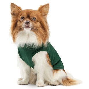 Pet Fashion Kale борцовка для собак XXS - masterzoo.ua