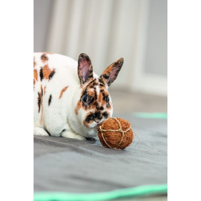 Trixie Coconut Ball іграшка для гризунів 6 см - коричневий - masterzoo.ua