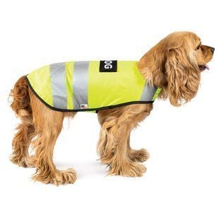 Жилетка для собак Pet Fashion &laquo;Yellow Vest&raquo; XS - masterzoo.ua