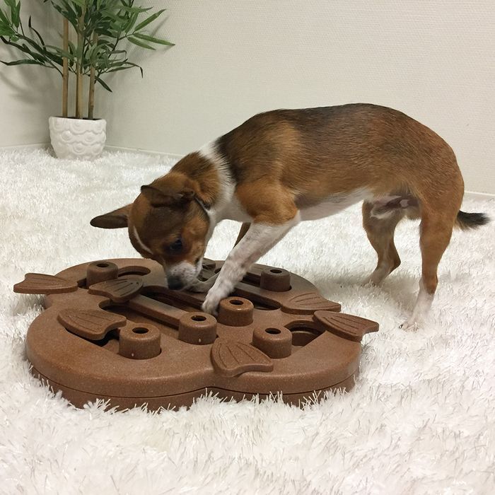 Nina Ottosson Dog Hide N'Slide игрушка для собак 33х33х5 см - бежевый - masterzoo.ua