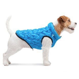 Collar AiryVest UNI куртка для собак XS-28 - masterzoo.ua