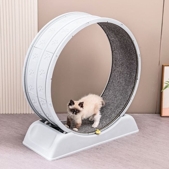 Бігове колесо для котів Me&Pet 86х27х80 см - сірий - masterzoo.ua