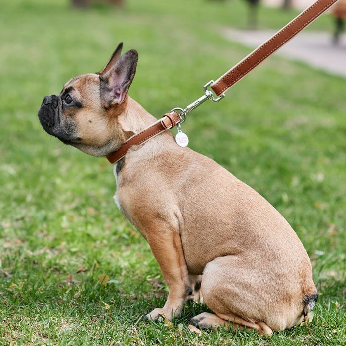 Collar Soft шкіряний повідець для собак - коричневий - masterzoo.ua