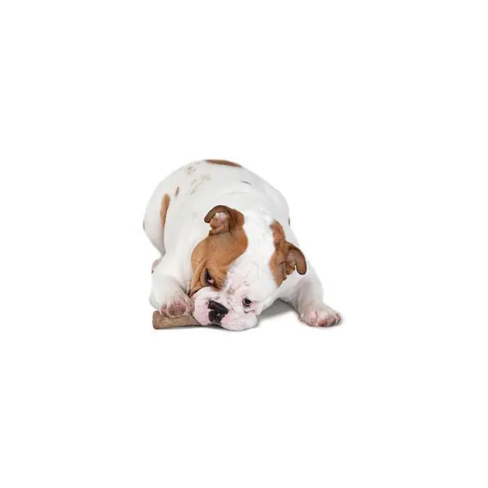 Іграшка для собак Petstages Dogwood Stick 21 см x 4.5 см x 3 см - masterzoo.ua