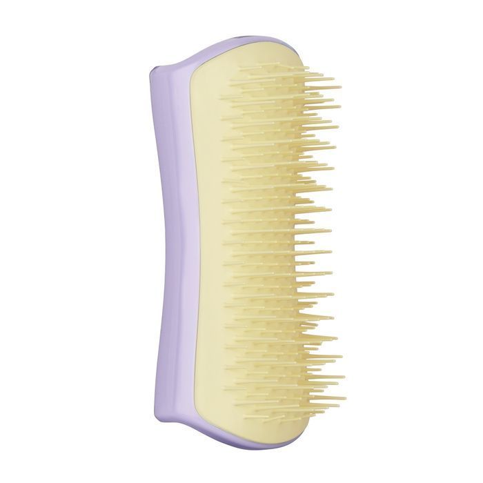 Щетка для распутывания шерсти собаки Pet Teezer Mini Detangling and Grooming Lilac/Yellow - masterzoo.ua