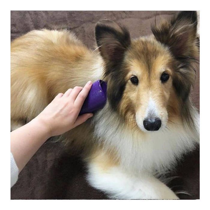 Щетка для собак Pet Teezer De-shedding and Grooming - фиолетово-серый - masterzoo.ua