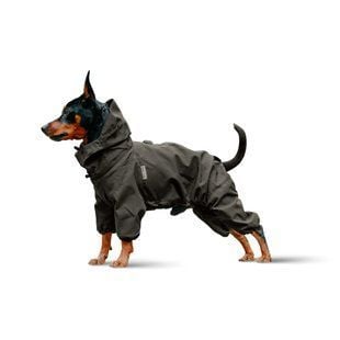 Комбинезон для собак Noble Pet Travis S - masterzoo.ua