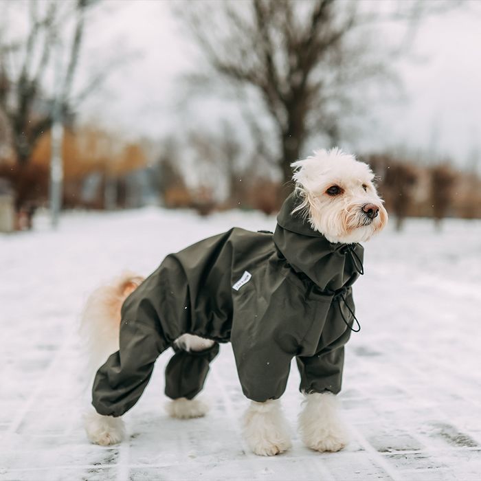 Комбінезон для собак Noble Pet Travis S - masterzoo.ua