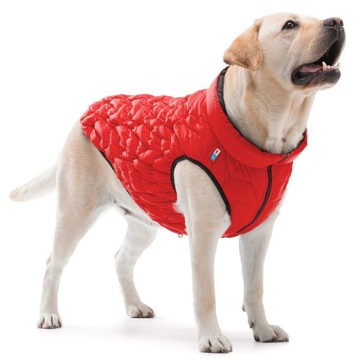 Collar AiryVest UNI куртка для собак XS-28 - masterzoo.ua