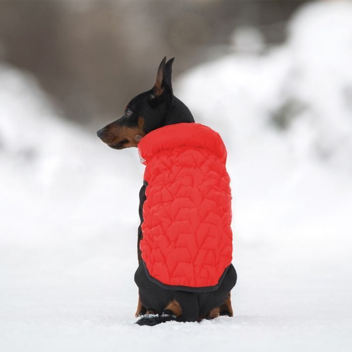 Collar AiryVest UNI куртка для собак XS-28 - masterzoo.ua