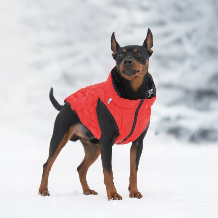 Collar AiryVest UNI куртка для собак XS-28 - masterzoo.ua