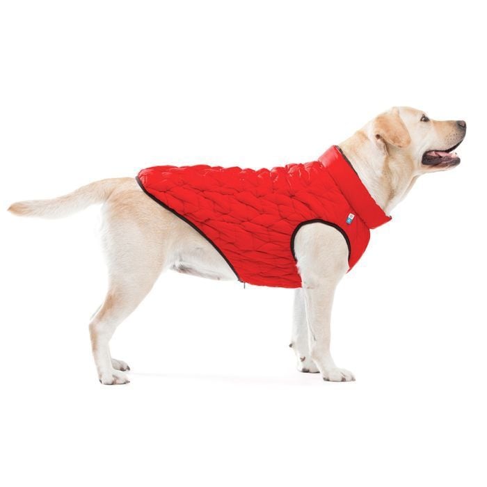 Collar AiryVest UNI куртка для собак XS-28 - masterzoo.ua