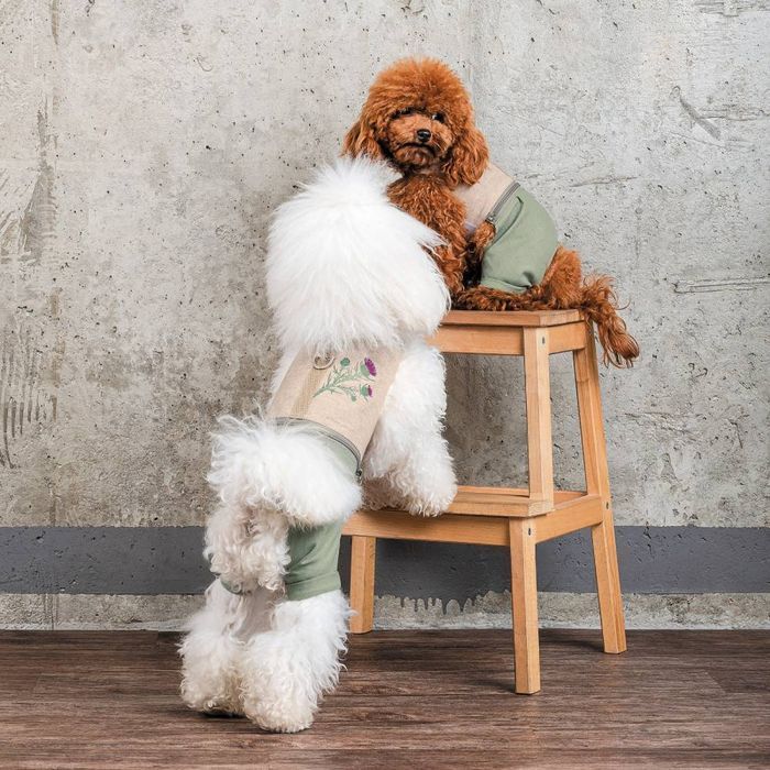 Шлея-костюм для собак Pet Fashion Patrik XXS - masterzoo.ua